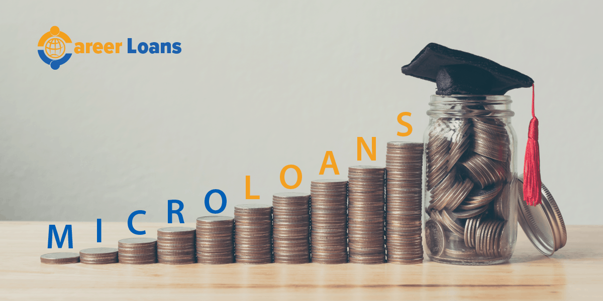 Understanding microloans